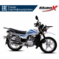 BamX x88