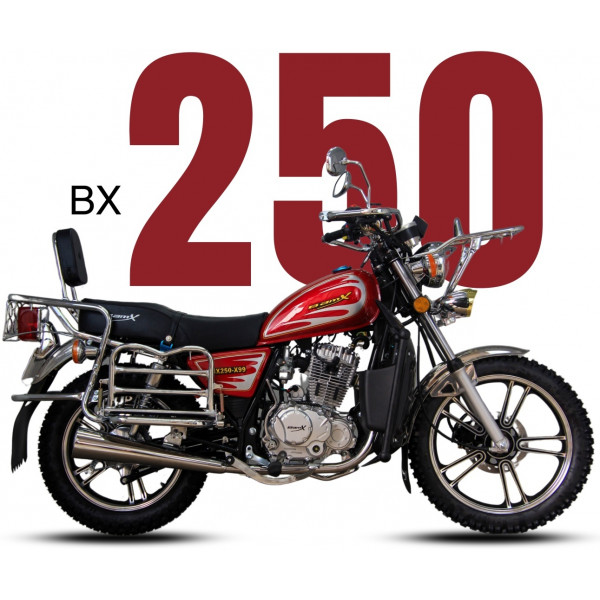 BamX x99